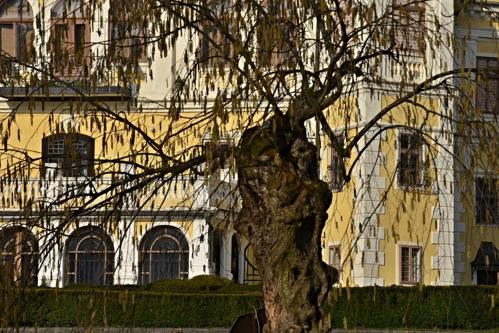 Penzion Pri Kastieli Betliar Exterior foto